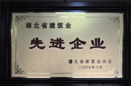 先进企业